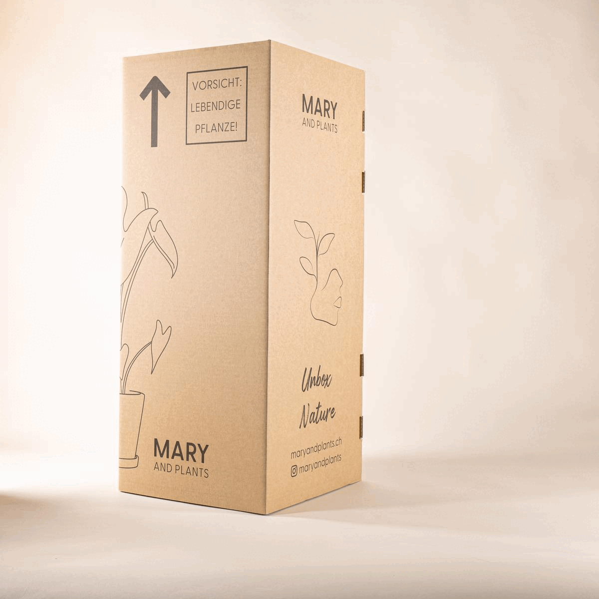 Nachhaltige Versandverpackung | Model Group Schweiz