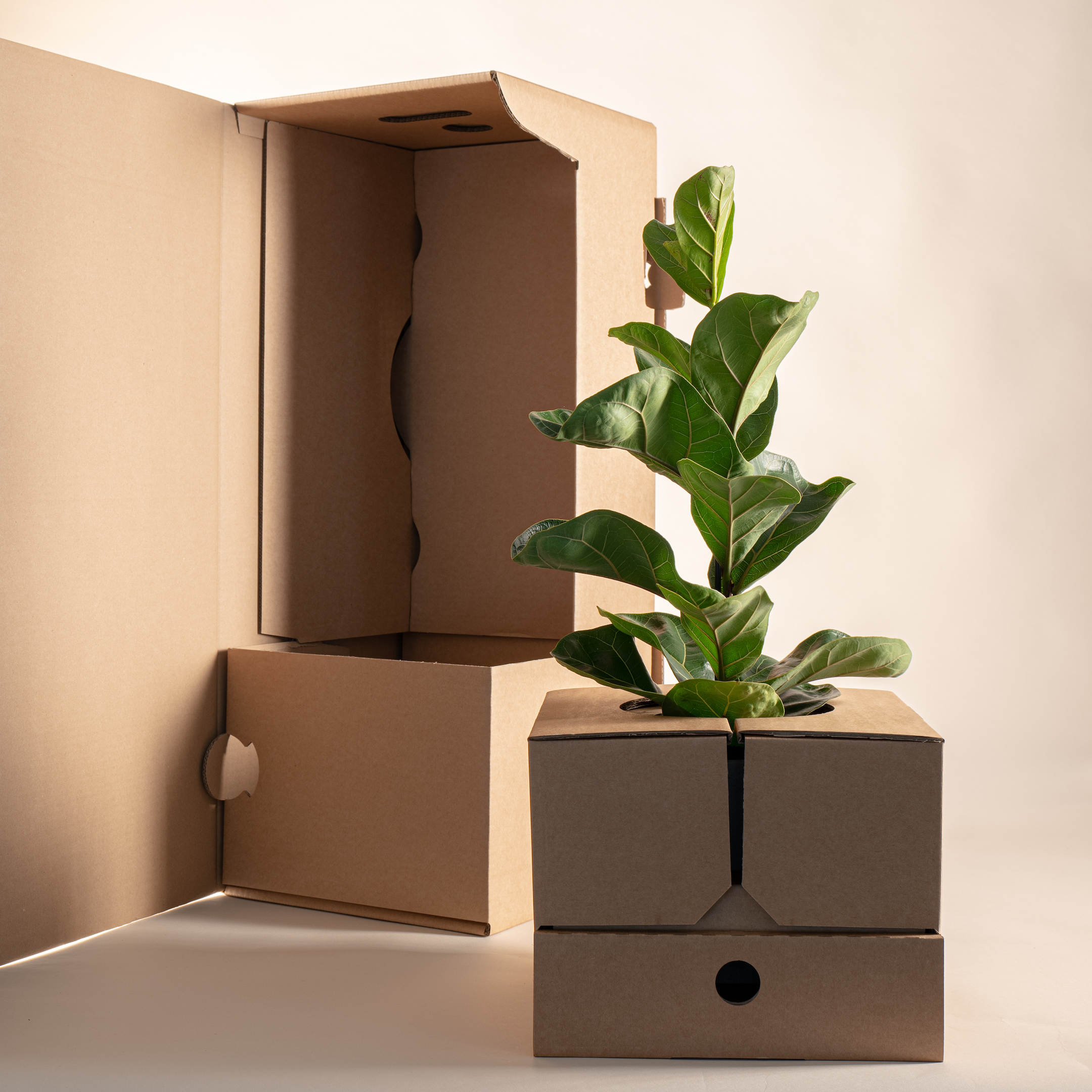 Sustainable shipping packaging