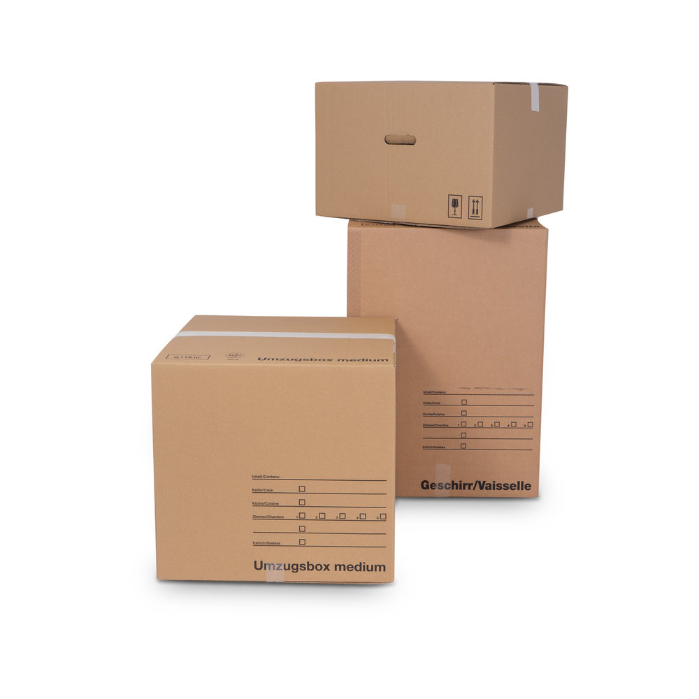Modell-Custom-moving-boxes-in-smallmediumlarge-made-of-corrugated-cardboard-in-b