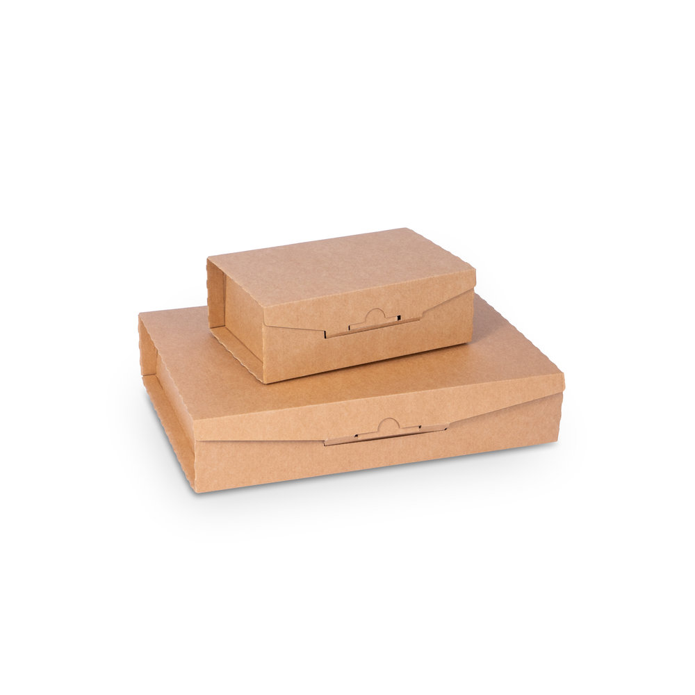 Modell-Smartphone-mailing-packaging-with-Corrtex-insert-in-brown.jpg