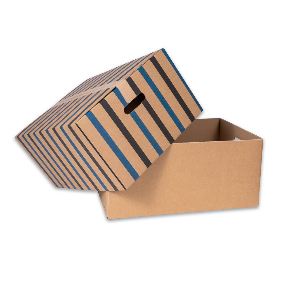 9011343 Zügelbox.jpg