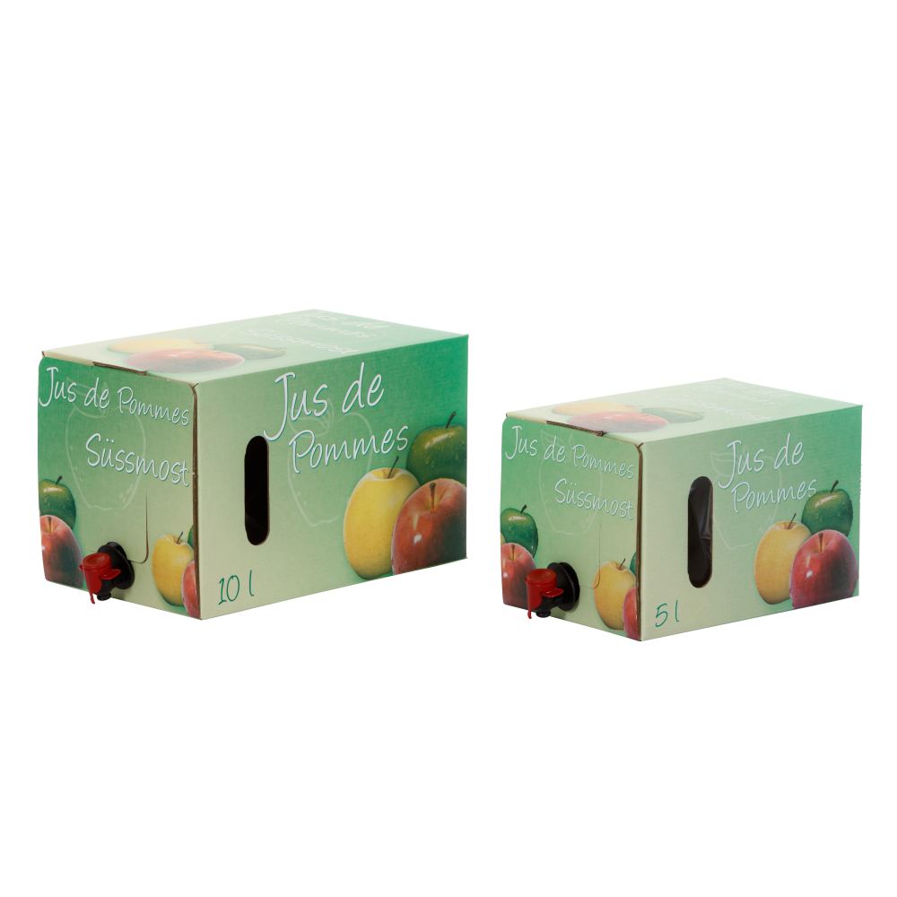 BaginBox «Apple juice» 5L Model Online Shop